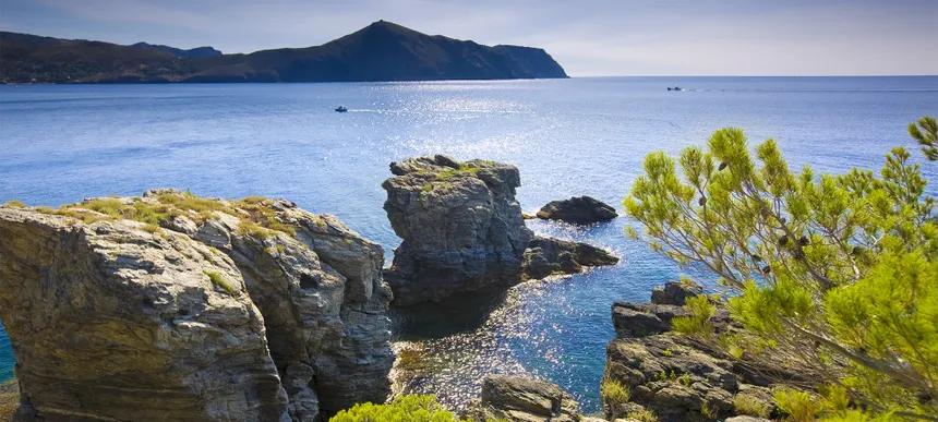 estac-naut-roses-cap-de-creus-vistas-c-estacion-nautica-roses.jpg_604889389