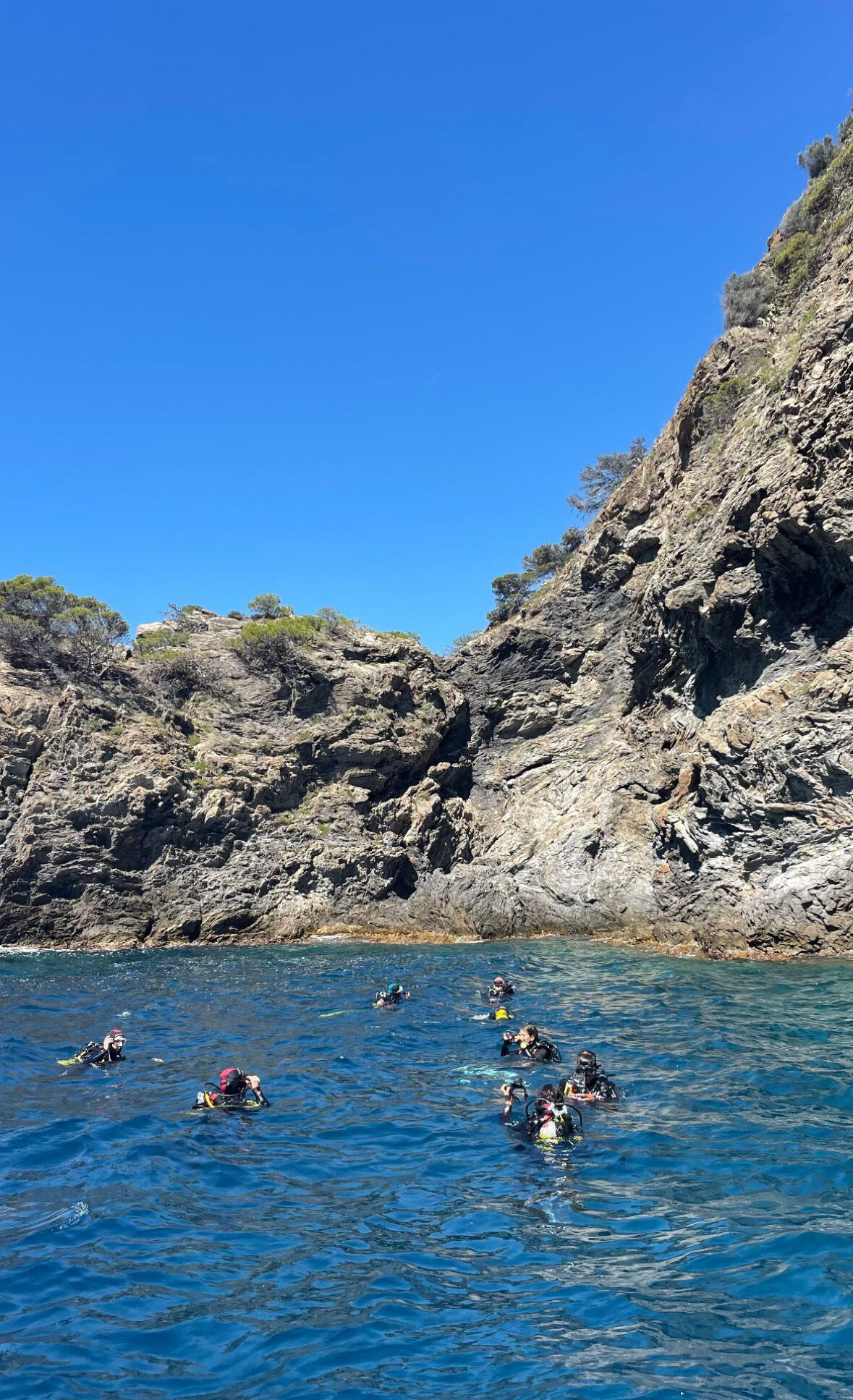 0E1C69DC-B240-44D3-83F7-C7493681D69C